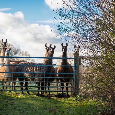 The Merry Harriers Bed and Breakfast Godalming Buitenkant foto